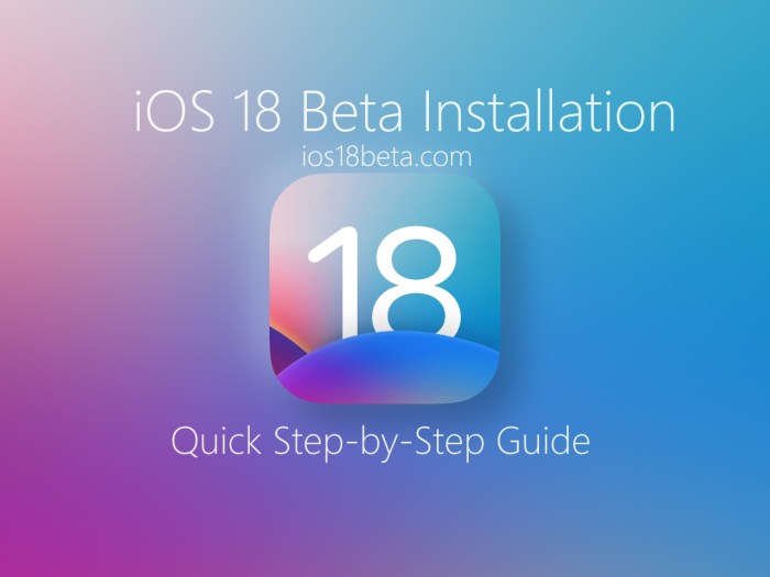 What are the features of iOS 18.1 developer beta